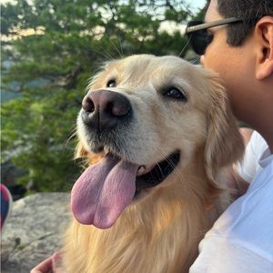 Meet your Posher, Sofia